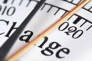 Performance Networks