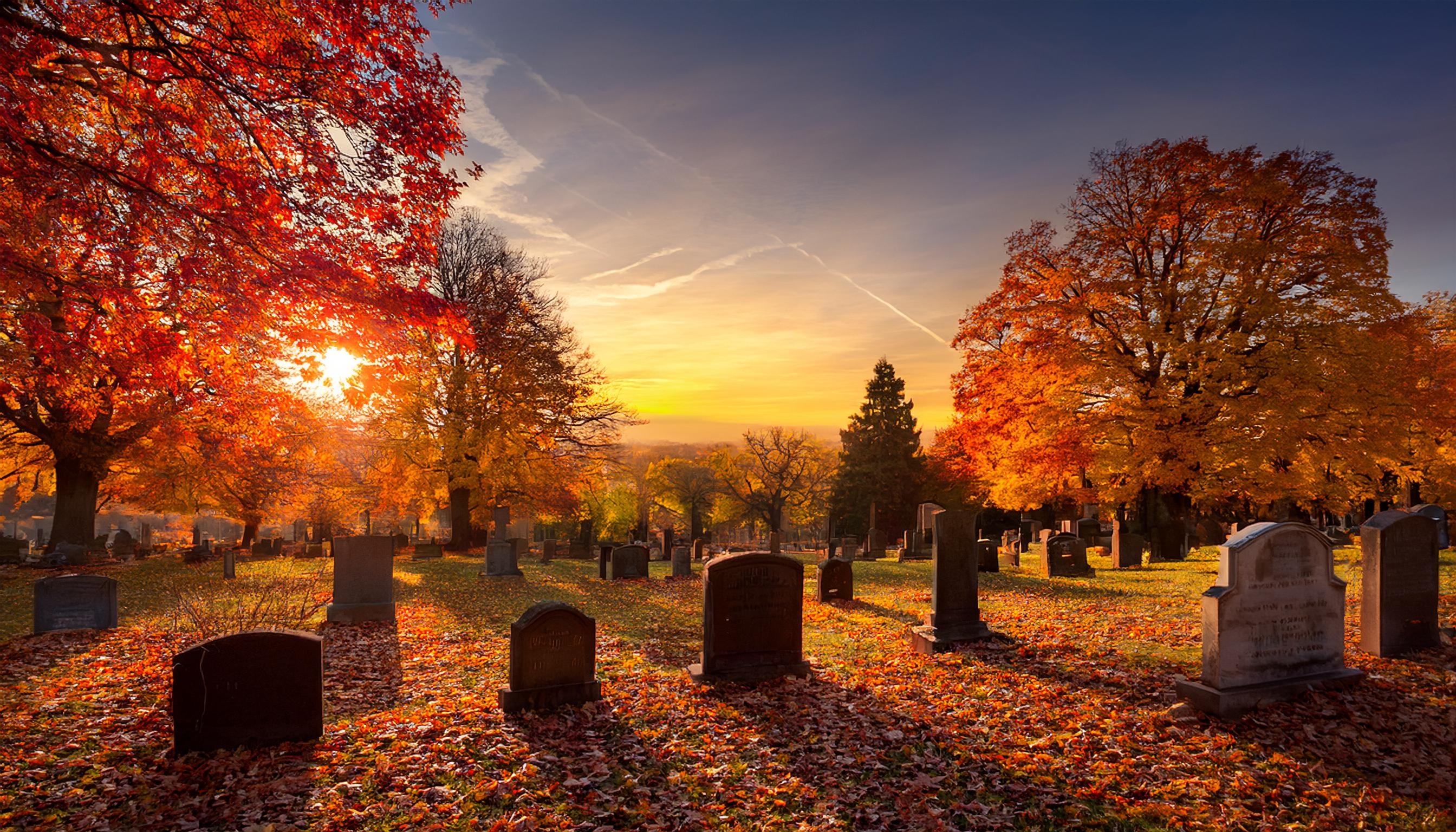 Solutions COVID-19 helpline