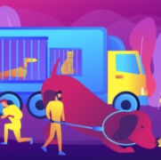 APSE Roundtable – Dog Warden Services, Kennelling Costs and XL Bully Impact