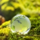 APSE Southern Parks and Open Spaces Seminar 2021