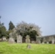 APSE Online Cemeteries and Crematoria Seminar 2023