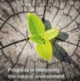 Delivering the Environmental Improvement Plan