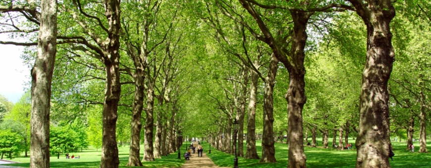 Grounds Maintenance Case Studies