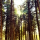 Environmental Sustainability—More than just a trendy catchphrase