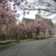 Supporting local residents through funeral poverty