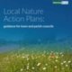 Helping town and parish councils identify opportunities for nature