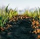 Climate Adaption: Advanced Soil Management