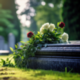 Derry City and Strabane District Council announces new cemetery for Derry City