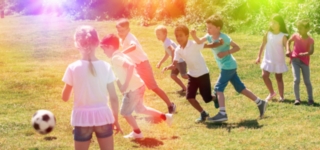 Introduction to Parks Management (CPD)