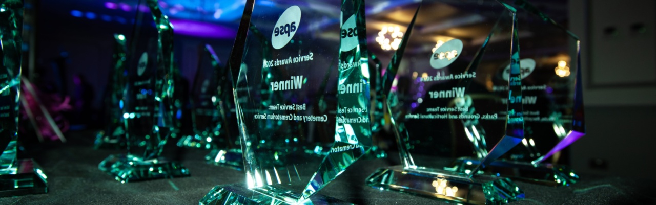 APSE is pleased to announce our Annual Service Awards 2026!