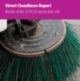 APSE Street Cleanliness Report: Results of the 2019/20 Data Sets