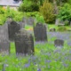 Online event: 'Making Space for Nature in our Burial Grounds'