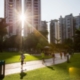 Post Pandemic: Green Urban Spaces