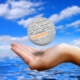 Can Blue Ocean Strategy help design better council services?