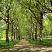 APSE Parks and Open Spaces Seminar 2015