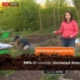 The pressure on plots: APSE on BBC Breakfast