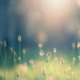 APSE Energy workshop with OVO energy