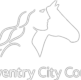 Energy Officer