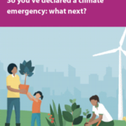 So you’ve declared a climate emergency: what next?