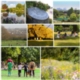 Ensuring legacy and demonstrating the value of parks