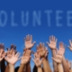 Working with Volunteers & the Voluntary Sector