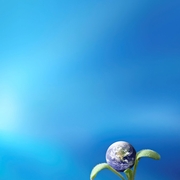 Rapid environmental impact assessment research report