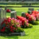 Legal and Practical Management of Cemeteries (ICCM) Masterclass