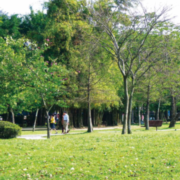 Nudge and budge your citizens to reduce demand on hard pressed council services