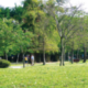 Nudge and budge your citizens to reduce demand on hard pressed council services