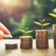 Local authorities and the challenge of energy price increases