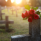 Sheffield City Council making significant progress to secure future burial space