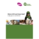 Cutting the Confusion out of ECO & Green Deal - A simple guide for Local Authorities