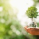 APSE Central Region Event - The Path to Net Zero