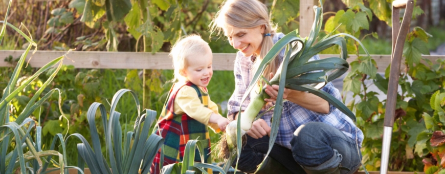 Managing Allotments in Local Authorities