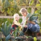 Managing Allotments in Local Authorities