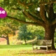 Consultation on 'greenprint' for Parks Professionals