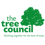 New ash dieback guidance for local authorities launched