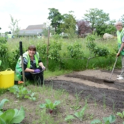 More beans for your buck: Adding value to parks
