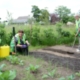 More beans for your buck: Adding value to parks