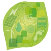 Transition to the green economy: The vital role of the ensuring council