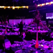 APSE Scotland announces the Gold Award Winners in the ‘Striving for Excellence Awards 2015’