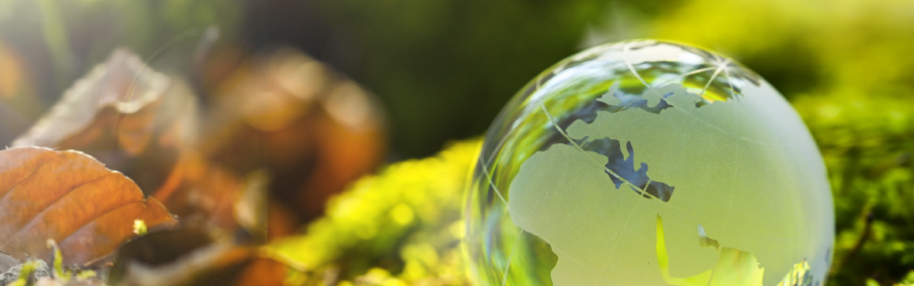 APSE Southern Region Parks and Open Spaces Seminar 2025