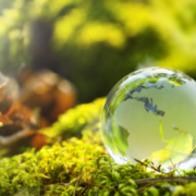 APSE Southern Region Parks and Open Spaces Seminar 2025