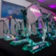 Setting the benchmark: The winners of the APSE Performance Networks Awards 2022