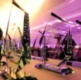 Setting the benchmark: The winners of the APSE Performance Networks Awards 2023