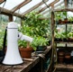 Smaller plots are now mainstream as councils respond to allotment demand, new APSE survey reveals