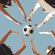 Local authority Sport and Recreation Services in England: Where next?