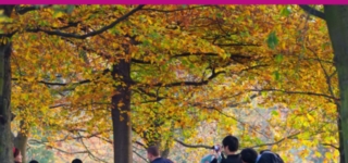 State of UK Public Parks 2021