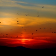 Cornwall's Nature Recovery Strategy