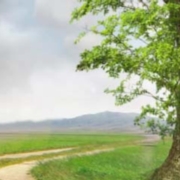 Climate Action for Hertfordshire Climate Change and Sustainability Partnership